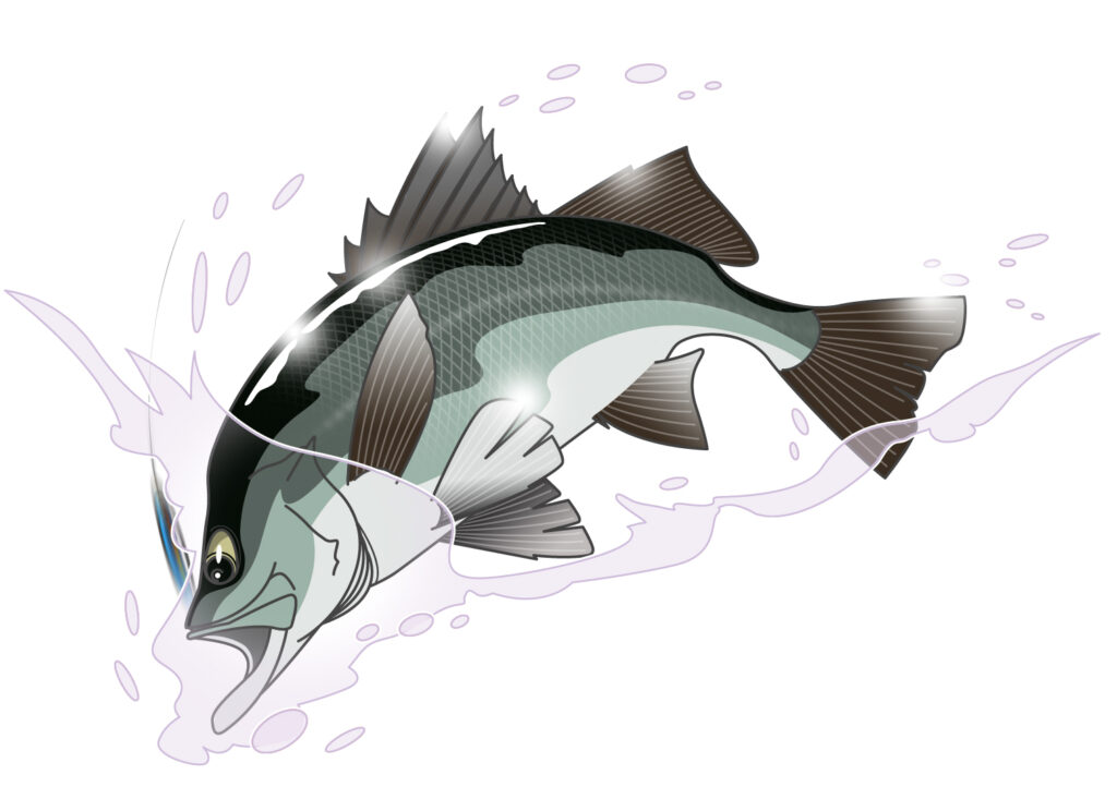 清水港周辺の釣り場の様子