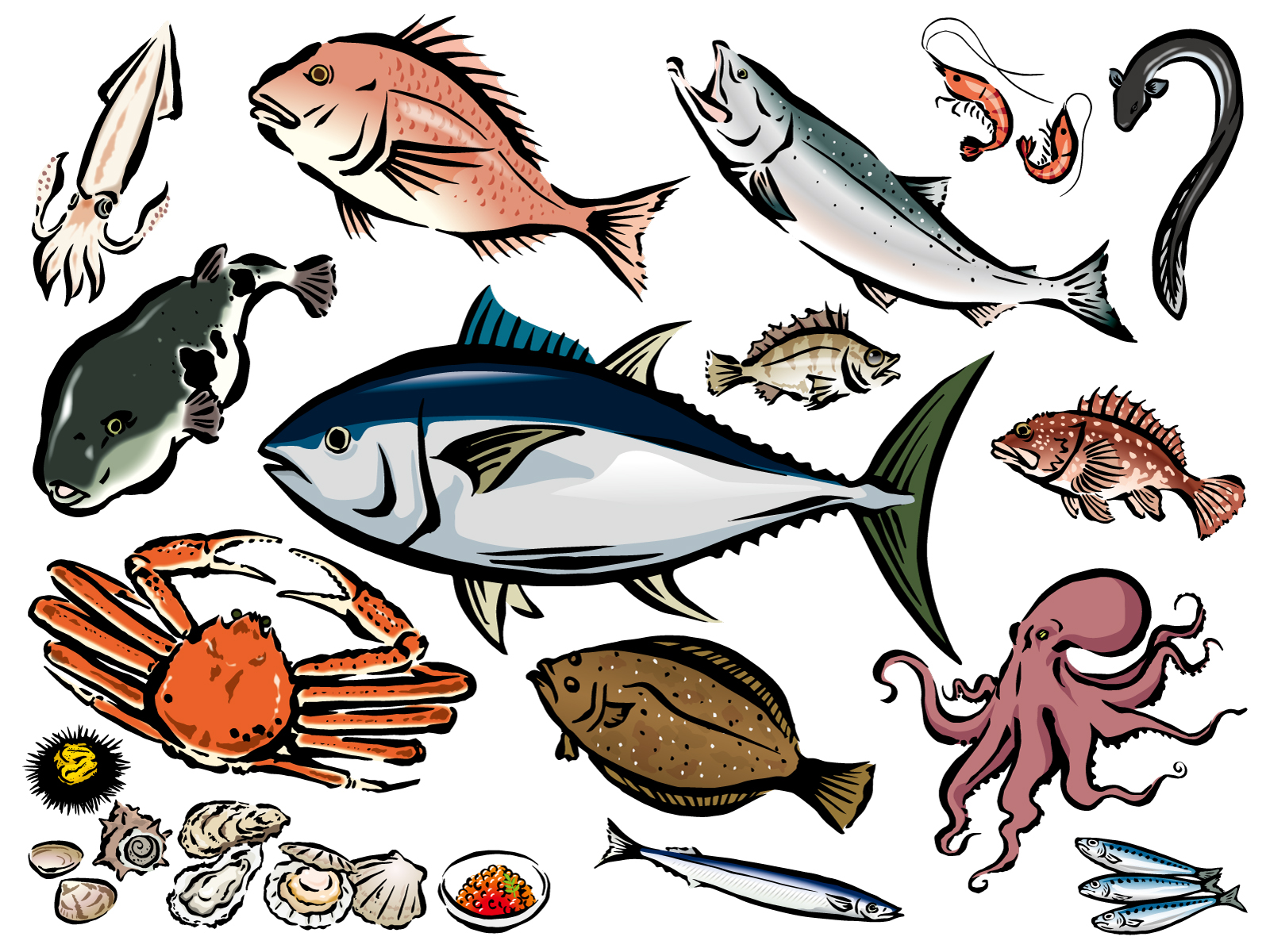 海釣りで釣れる魚