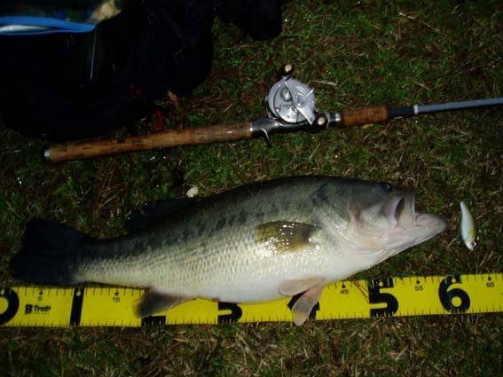 ビッグバスを釣る
