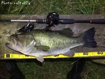 河口湖で釣れた大型のブラックバス