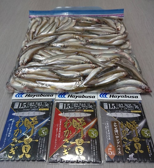 夏の芦ノ湖でのワカサギの釣果