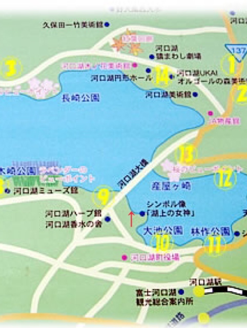 河口湖のバス釣りポイント全体マップ