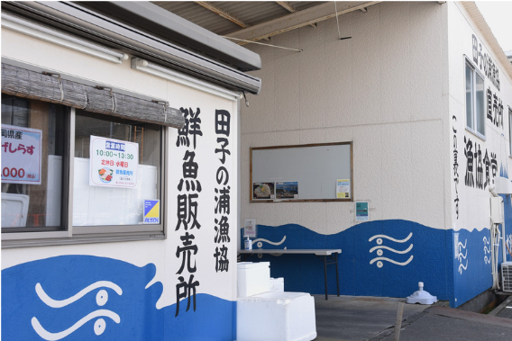 堤防で釣りをする人の様子